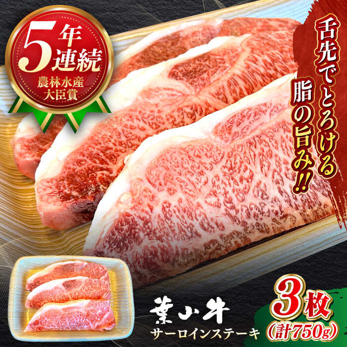 【ふるさと納税】国産 和牛 A5ランク 葉山牛 サーロインステーキ 計750g ( 250g × 3枚 ) A5 黒毛和牛 牛肉 500グラム サーロイン ステーキ 冷凍 人気 おすすめ 赤身 肉 【葉山牛ステーキレストラン 角車】[ASBD017]