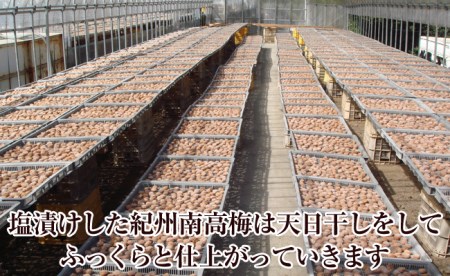 【0365-3】紀州南高梅はちみつ極塩分6％