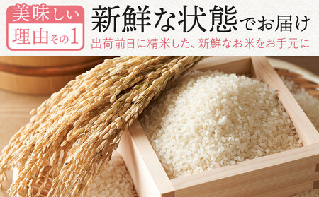 【定期便全6回】【令和7年産新米予約】【食味鑑定士厳選】福岡県産 夢つくし10kg (5kg×2袋) 合計 60kg