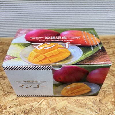 【2026年6月から順次発送・化粧箱】JA厳選のアップルマンゴー1kg(2～3玉)【配送不可地域：離島】