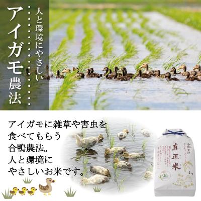 ふるさと納税 大館市 【新米先行受付】令和7年産有機JAS認証米あきたこまち「真正米」5kg |  | 01
