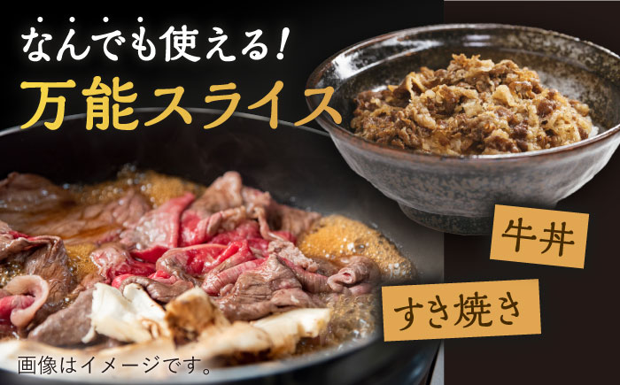 長崎和牛 特選 切り落とし 600g /長崎県産和牛 牛肉 国産牛すき焼き 炒めもの 【川下精肉店】 [OAA016]