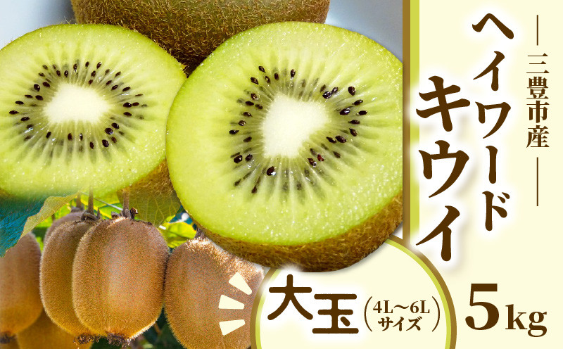 
            【ふるさと納税】三豊市産　ヘイワードキウイ【大玉】5kg（4L～6Lサイズ　40～35玉前後）
          