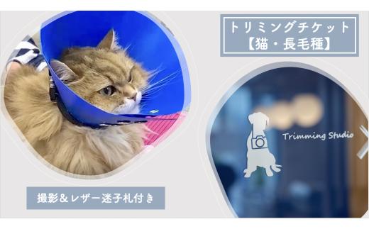 
トリミングチケット【猫長毛種】撮影＆レザー迷子札付き【 犬 猫 ドッグ キャット ねこちゃん わんちゃん ワンちゃん ペットトリミング チケット 】
