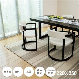 日本製 撥水・防汚 カーペット アイボリー 1枚 約220×250cm 600022211型[1128]