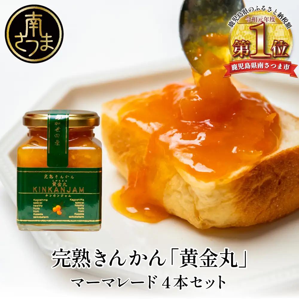 完熟きんかん「黄金丸」マーマレード 4本セット 金柑 ジャム 柑橘 果物 パンやヨーグルトに フルーツ 朝食 清木場果樹園 瓶入り プレゼント ギフト 贈答用 贈り物 手土産 南さつま市