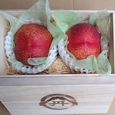 
            ＜ご先祖様へ最高のお盆贈り物＞最高糖度25度比類なき絶対糖度シャトーネクタリン2025年8月上旬発送【1468768】
          