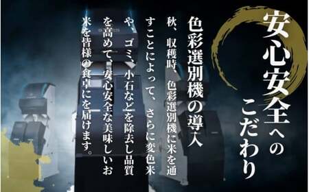 【令和6年産新米】〈6回定期便〉令和6年度産新米【お米ソムリエのお米】新之助 精米 5kg（5kg×1袋）［2024年10月中旬以降順次発送］ エバーグリーン農場