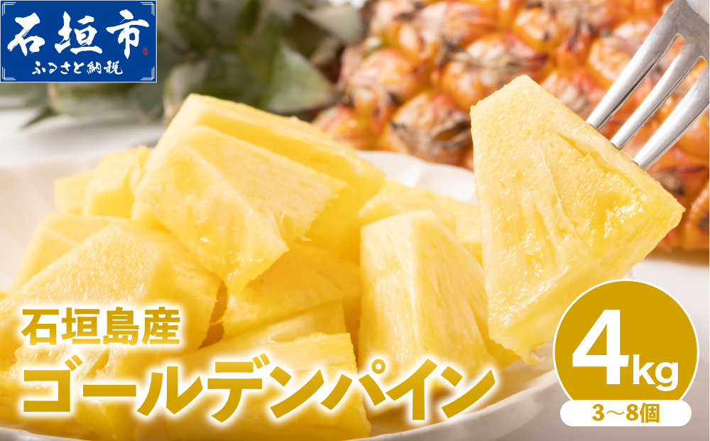 訳あり 石垣島産 ゴールデンパイン 約4kg（3～8個）＜先行予約＞【2027年6月から順次発送】| ふるさと納税 パイナップル 産地直送 フルーツ 果物 パイン 石垣 沖縄 沖縄県石垣市 石垣島 KP-04