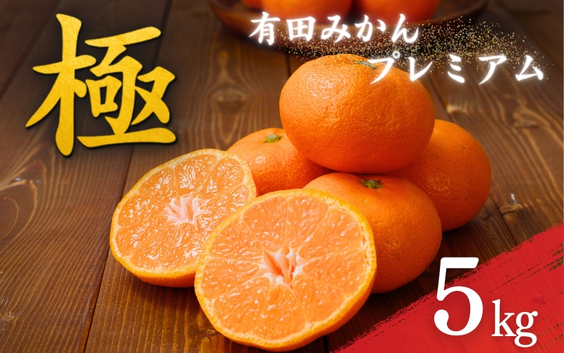 極 有田みかんプレミアム 5kg【糖度12度以上】2S～Mの小玉サイズ　※2024年11月下旬～12月下旬頃発送   先行予約 みかん 温州みかん ミカン 小粒 【nuk155A】