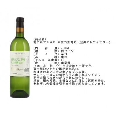 ふるさと納税 南アルプス市 南アルプス市産 甲州ワイン2本セット |  | 01