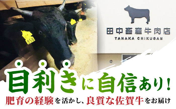【2度の農林水産大臣賞】佐賀牛 サーロイン スライス 500g【田中畜産牛肉店】 [HBH011]