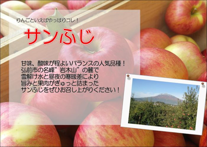 【クール便】4月発送 白熊 訳あり家庭用 サンふじ 約5kg 糖度13度【弘前市産 青森りんご・CA貯蔵】