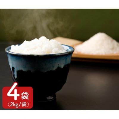 ふるさと納税 西尾市 西三河農業協同組合推奨　こしひかり精米2kg×4袋(三河自慢)・N014-25