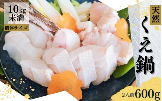 幻の高級魚 くえ 天然クエ鍋セット 2人前600g 【個体10kg未満】【1ヶ月以内に順次発送】 / クエ クエ鍋 天然 魚 魚貝 海鮮　【tcr009B】