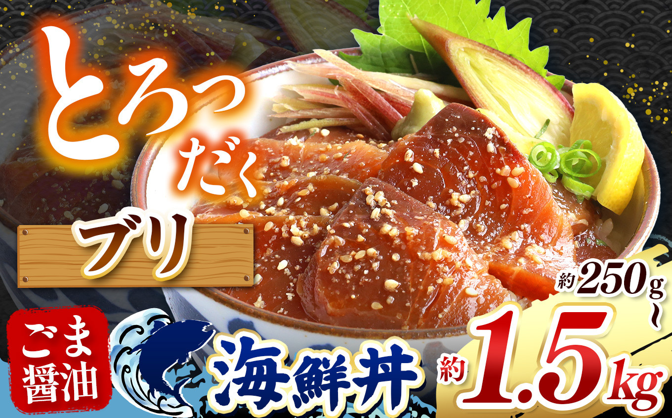 
            "とろだく” ごま醤油 海鮮丼 ブリ  選べる内容量 約 250g ～ 約 1.5kg | 熊本県 和水町 くまもと なごみ 魚 海鮮 肥後 海鮮丼 スライス 冷凍 漬け さかな 漬け丼 小分け 数量限定 人気 熊本県 熊本
          