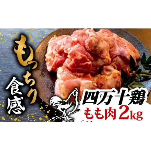 【 もも肉 】 四万十鶏 もも肉 2kg