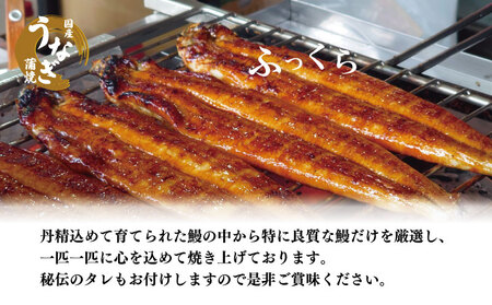 特上うなぎ 蒲焼 国産 3尾 約480g うなぎ