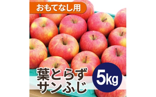 ＜26年2月より順次発送＞平均糖度13度以上! 葉とらずサンふじ 約5kg おもてなし用【1611245】