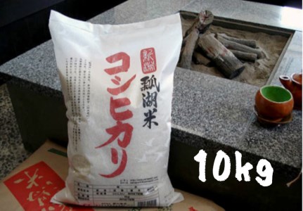 【令和6年産新米】新潟産コシヒカリ「瓢湖米」10kg 関口商店 1N05021