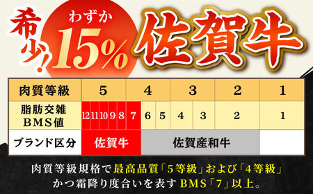 【全12回定期便】佐賀牛大満喫定期 HBH043 焼肉 佐賀牛 スライス 霜降り 国産 和牛