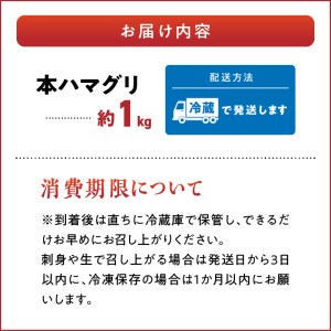 F46-25　網田漁業協同組合　本ハマグリ　約1ｋｇ