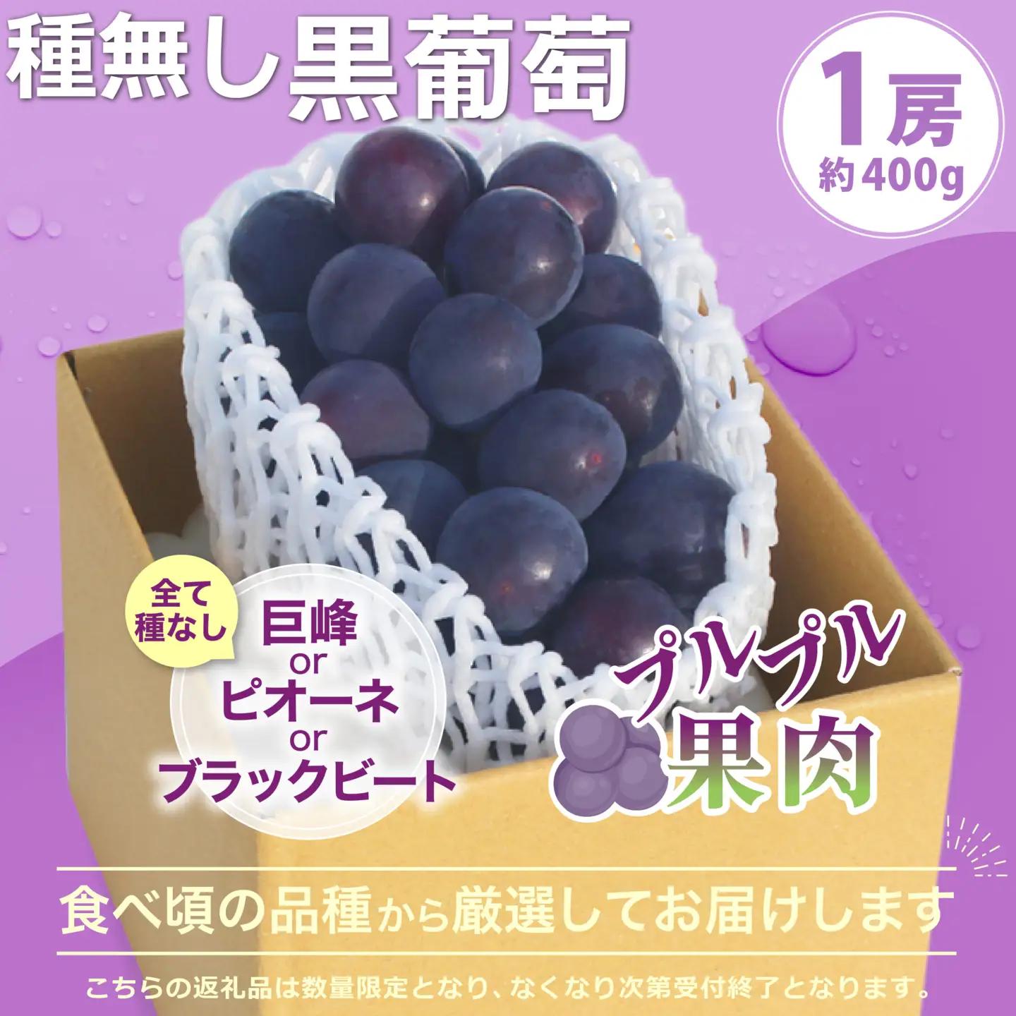 【2027年発送★先行予約】2回定期便 旬のフルーツ定期便（桃1㎏・種無し黒葡萄1房） 180-026-27y