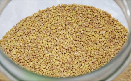 信濃霧山ダッタンそばセット　C-1 蕎麦 