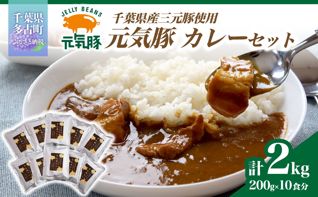 【千葉県産三元豚使用】元気豚 カレーセット　2kg(200g×10食分)【配送不可地域：離島・沖縄県】 TAKB013