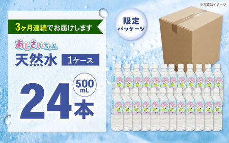 ミネラルウォーター 【全3回定期便（毎月お届け）】ミネラルウォーター （500mL×24本） 1箱 [BDBE003-4]