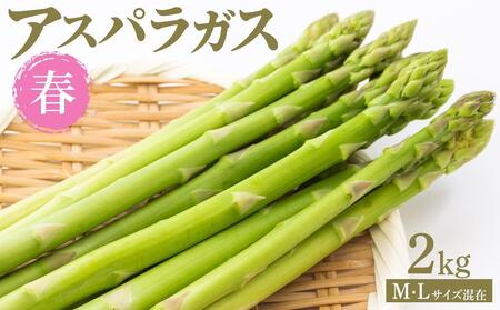 【先行予約】春アスパラガス 2kg M・Lサイズ混在2026年1月下旬頃より発送