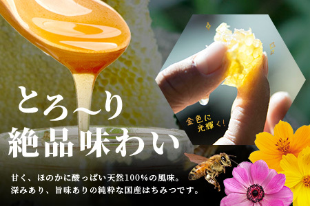 たっちゃんのこだわり蜂蜜 250g×2本 秘境 蜂蜜 はちみつ ハチミツ