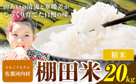 【先行予約】清流と寒暖差が生む村自慢の棚田米 精米 20kg《2026年11月以降順次出荷》徳島県 佐那河内村 お米 米 白米 送料無料