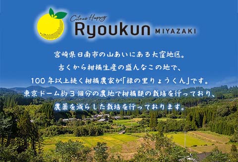 先行受付 数量限定 みつばちみかん 計3kg以上 傷み補償分付き 期間限定 フルーツ 果物 果汁 糖度 くだもの みかん ミカン 柑橘 オレンジ 国産 食品 デザート おやつ おすすめ 産地直送 おす