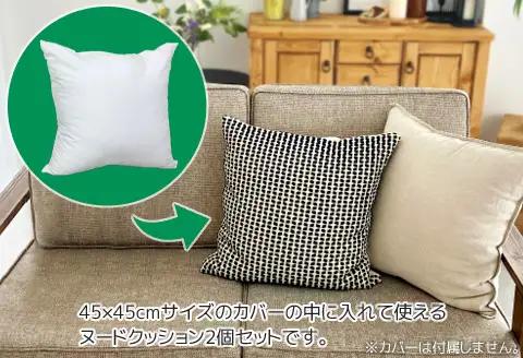 ヌード 中材 背当クッション 帝人 防ダニ 抗菌防臭2個セット_【G0813】