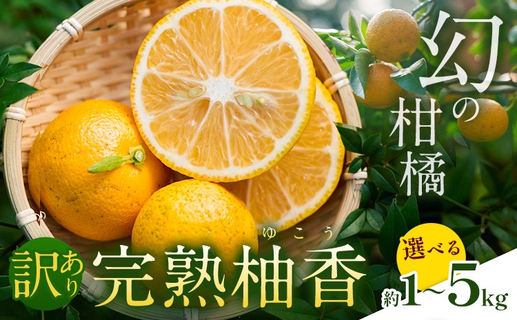 
            ＜ 予約受付開始 ＞ 訳あり 完熟柚香 ゆこう 選べる内容量 約1kg 約3kg 約5kg シシトトラ《11月中旬-12月下旬頃出荷》 │ 柑橘 家庭用 柑橘 訳あり 柑橘 徳島県 柑橘 ご当地食材 レア 幻の果実 ぽん酢 加工用 柑橘 完熟 フルーツ 徳島県 上勝町
          