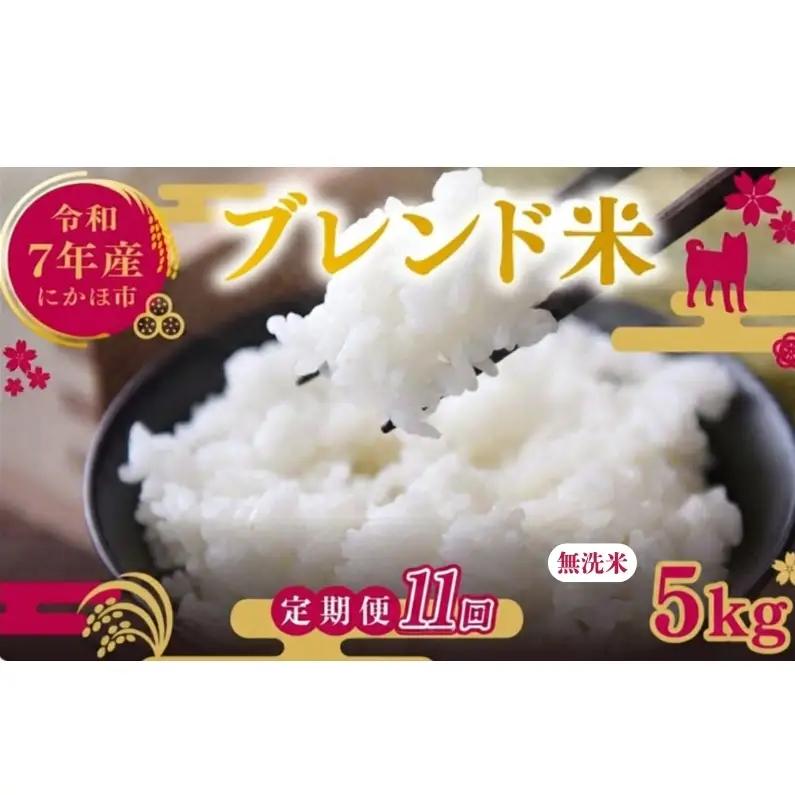 【定期便11か月】無洗米 ブレンド米 5kg  令和7年度産 無洗米