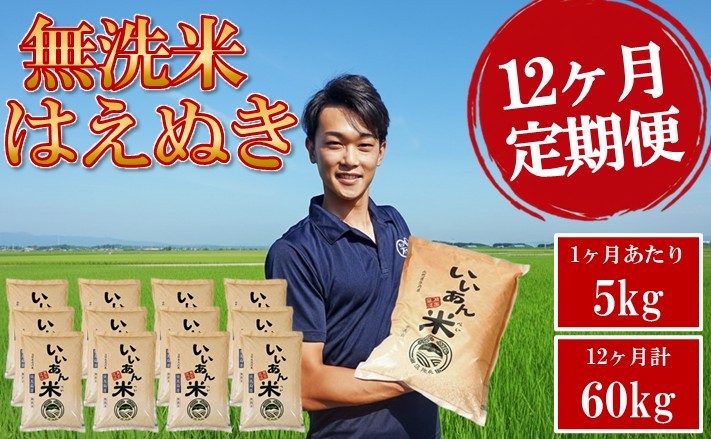 
                  無洗米 定期便 はえぬき 5kg×12回 計60kg 農家直送 いいあん米 山形県庄内産 毎月中旬頃お届け 米 お米 精米 白米 庄内米 いいあん米 ブランド米 東北 酒田市 JGAP認証農場 AG アグレスト　SM0065
                