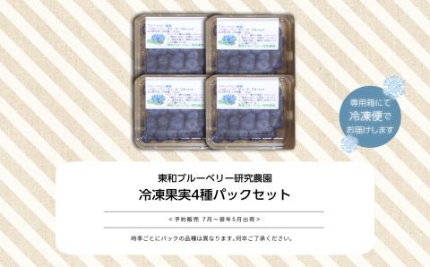 東京農工大学名誉教授「横山　正」ブランドのブルーベリー冷凍果実4パックセット（品種おまかせ）【東和ブルーベリー研究農園】