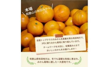 ＼光センサー選別／こだわりの有田みかん 約4kg【ご家庭用】有機質肥料100% ふるさと納税 みかん ※2024年11月中旬～2025年1月上旬頃に順次発送予定 ※沖縄・離島への配送不可