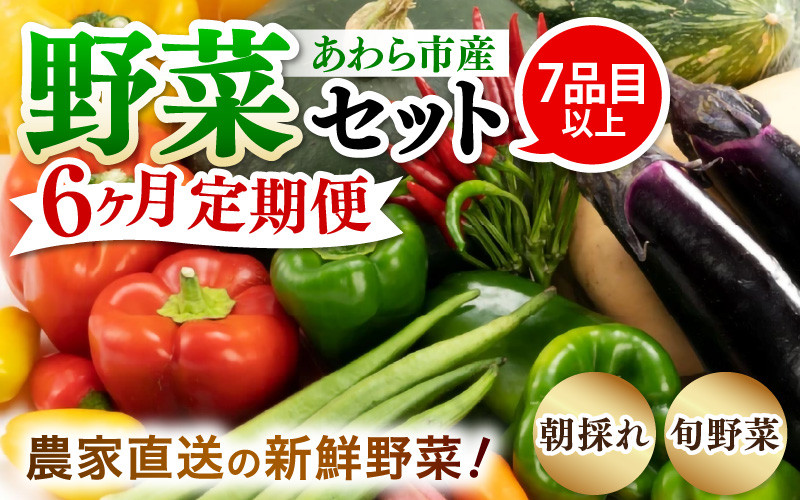 
            【6ヶ月連続お届け】農家直送 旬の野菜セット 7品目以上 1箱 ／ 定期便 6回 季節 野菜 ボックス BOX セット セレクト 農家 おまかせ 多品目 旬 詰め合わせ 根菜 葉物 [aw028-c003]
          