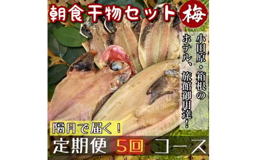 【隔月定期便5回】小田原、箱根の旅館、ホテル御用達！朝食干物セット 梅【 まぐろや 神奈川県小田原市 】