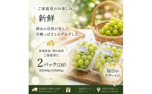 ＜食べきりサイズ＞岡山県産シャインマスカット 400g×2パック(計800g)【1754534】
