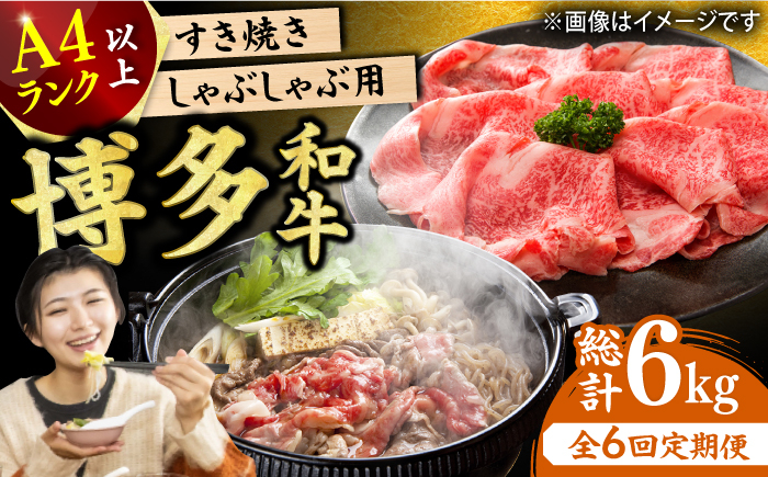 
【6回定期便】【A4ランク以上！】博多和牛 しゃぶしゃぶすき焼き用（ロース肉・モモ肉・ウデ肉）1kg（500g×2p） 肉 にく ニク お肉 牛肉 博多和牛 黒毛和牛 赤身 薄切り ウデ モモ 肩ロース 国産 しゃぶしゃぶ すき焼き 鍋 福岡 化粧箱入り 冷凍 広川町/株式会社MEAT PLUS [AFBO036]
