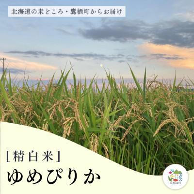 ふるさと納税 鷹栖町 ゆめぴりか 精白米 10kg