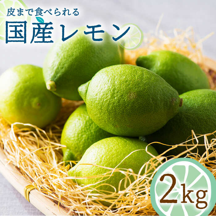 【ふるさと納税】【2025年10月〜発送】国産レモン 2kg / レモン れもん 檸檬 国産 ユーレカ 果物 フルーツ 柑橘 / 南島原市 / 長崎県農産品流通合同会社 [SCB017]