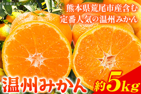 みかん 温州みかん 約 5kg 柑橘 フルーツ ミカン 蜜柑 《11月上旬-12月上旬頃出荷》熊本県 荒尾市産含む 熊本県 荒尾市 フレッシュフーズ