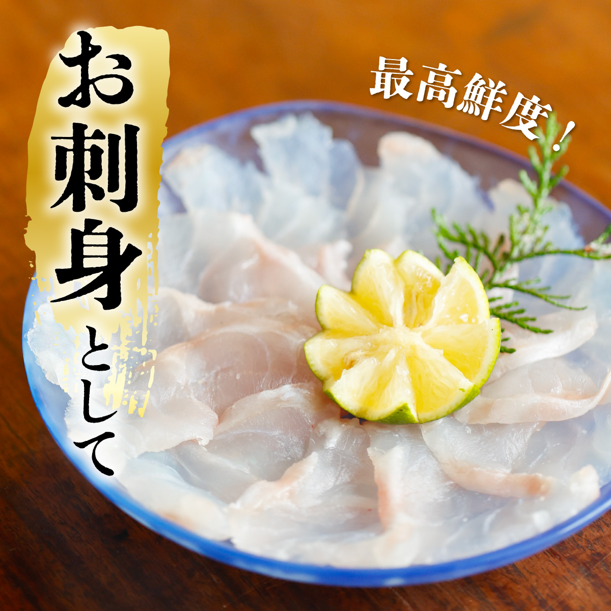 クエ 活き締め 4.5〜6kg 本クエ アラ 鮮魚 クエ鍋 高級 高級魚 産地直送 冷蔵 養殖 国産 九絵