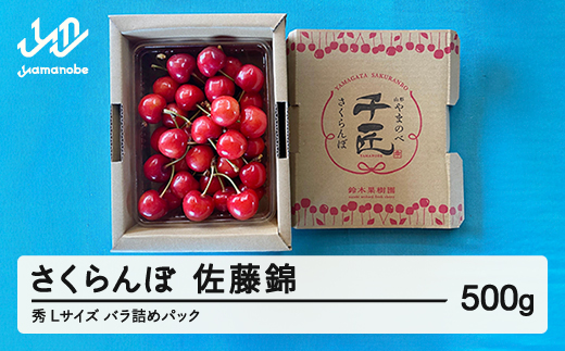 《先行予約》2026年 山形県産 さくらんぼ 佐藤錦 バラ詰め（パック） 500g 秀 L サクランボ フルーツ 果物 F21A-462