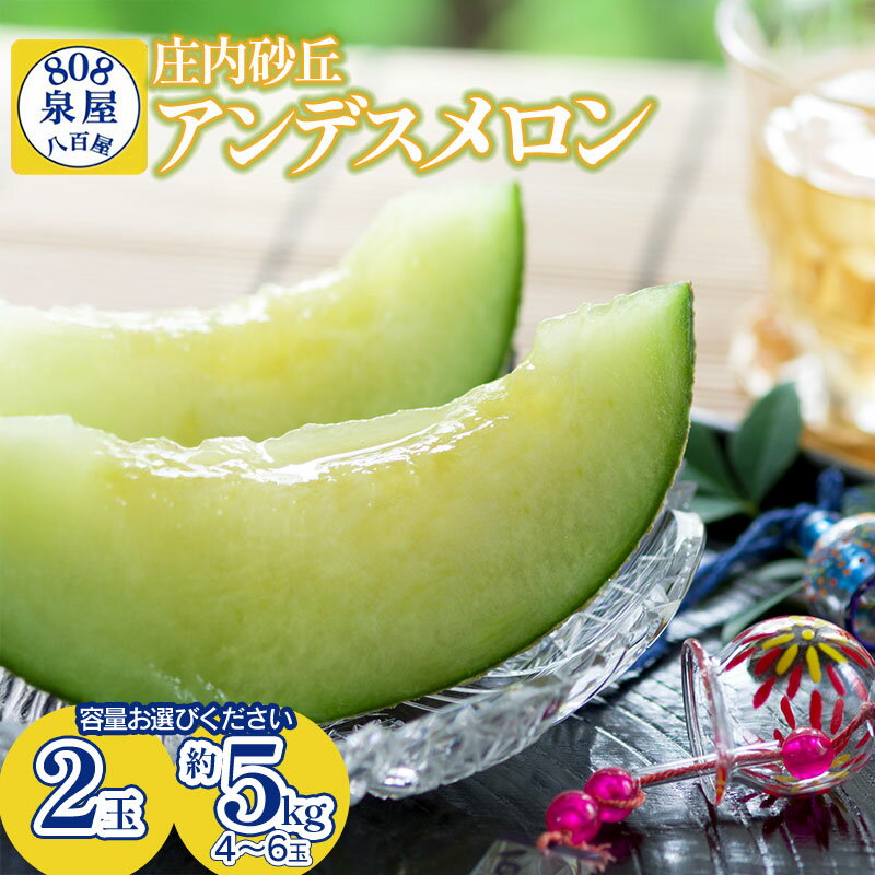 【ふるさと納税】【令和8年産先行予約】泉屋商店の庄内砂丘アンデスメロン 容量お選びください［2玉・4〜6玉(約5kg)］　K-822・K-839